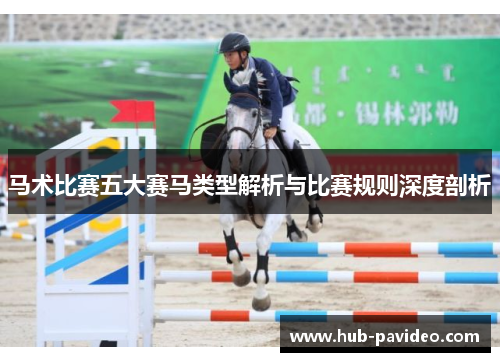 马术比赛五大赛马类型解析与比赛规则深度剖析