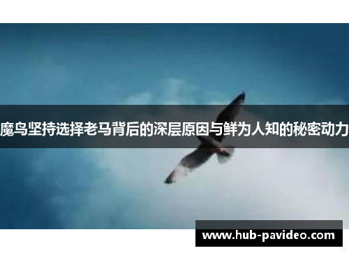 魔鸟坚持选择老马背后的深层原因与鲜为人知的秘密动力 魔鸟坚持选择老马背后的深层原因与鲜为人知的秘密动力
