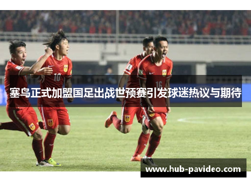 塞鸟正式加盟国足出战世预赛引发球迷热议与期待